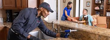 Best Pest Control for Multi-Family Homes  in Window Rock, AZ