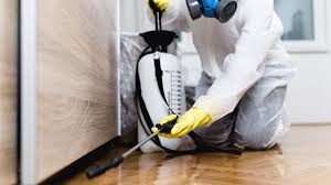 Best Pest Control for Multi-Family Homes  in Window Rock, AZ