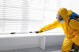 Best Residential Pest Control  in Window Rock, AZ